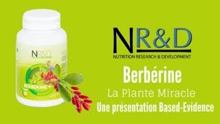 Berbérine+ silymarine, plus efficace que la metformine et les statines, diabète, coeur, vaisseaux