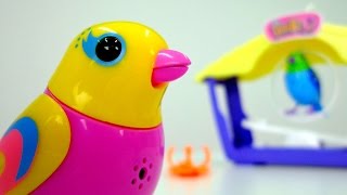 Игрушки для детей: интерактивные поющие птички DigiBirds