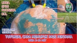 Tutorial Lengkap Cara Memupuk padi Pertama kali [ Part 14 ]