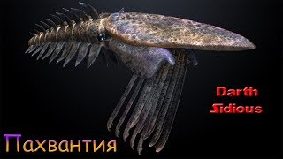 Развитие жизни на Земле (The Evolution of Life) - Кембрийский радиодонт - фильтратор!