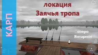 Русская рыбалка 4 - озеро Янтарное - Карп с деревянных мостков