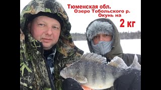 Зимняя рыбалка / Окунь на 2 кг / Тюменская обл., Тобольский р. / Рекордный окунь Тюменской обл.
