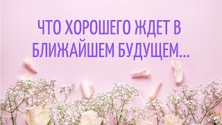 ЧТО ХОРОШЕГО ЖДЕТ В БЛИЖАЙШЕМ БУДУЩЕМ... ГАДАНИЕ ОНЛАЙН ТАРО