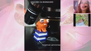 Вебинар-диспут Круглого стола: "Атрофический кольпит: норма или патология?"