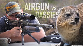 INSANE 200+yd Scopecam clips! Dassie Hunting with Gerhard Slabbert
