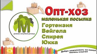 Опт-хоз посылка. Гортензия спирея вейгела юкка