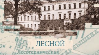 Малые родины большого Петербурга. Лесной
