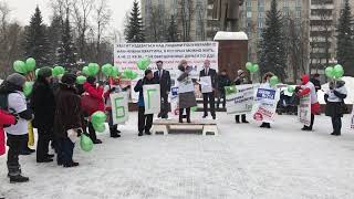 Митинг Красногорск 02 02 2019