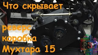 Что скрывает реверс Мухтар 15
