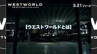 BD/DVD/デジタル【2分でわかる「ウエストワールド」解説動画】「ウエストワールド＜ファースト・シーズン＞」3.21リリース / 2.21デジタル先行配信