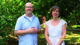 Gotu Kola Benefits I LifeSeasons Weekly Tonic Episode 57