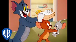 Tom y Jerry en Latino | Dibujos animados clásicos 141 | WB Kids