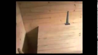 Апи домики для пчел размеры чертежи видео