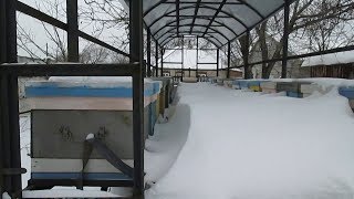 Зимовка пчел. Пасека 2018.  На память.