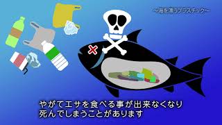 ポイ捨てごみはどこへ行く？～海を漂うプラスチック～