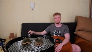 Славный Обзор. Big Papa. Цезарь за 400р.
