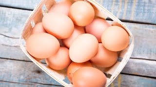 How To Boil an Egg