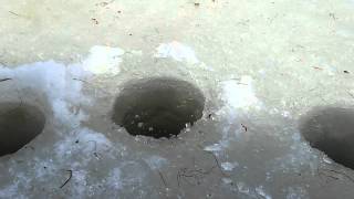 Ловля сырка на оз. М. Еровское 23.04.2014