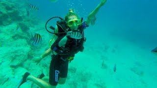 Дайвинг в Хургаде - Экскурсия на дне Красного моря | Хургада Египет - Отдых в Египте 2018