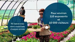 Sur ma route : au cœur de la foire aux plantes rares de Bézouotte