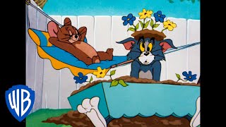 Tom y Jerry en Español | El propósito de Año Nuevo | WB Kids