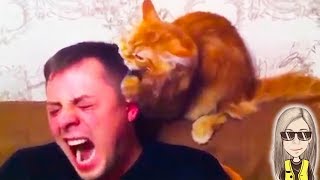 ПРИЗНАКИ, ЧТО КОТ ТЕБЯ ЛЮБИТ // МоМо