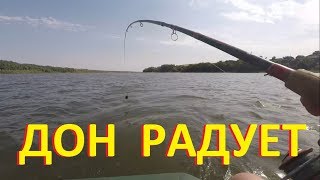 Дон радует! Рыбалка на карася, судака на фидер и донку 2017.