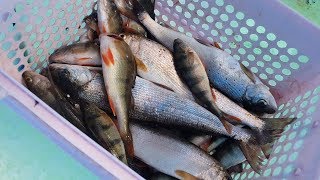 Рыбалка 23 февраля 2019 на Байкале,  Малое море