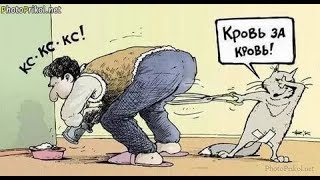 Анекдоты новые самые смешные до слез!!!!