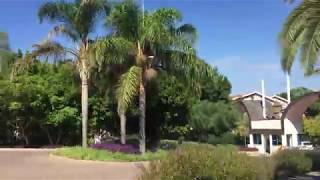 IMG 5325 Отель Sunrise Resort Hotel 5* Турция Сиде  Территория отеля