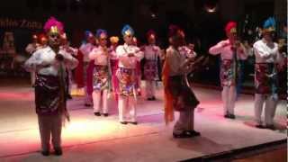 BALLET FOLKLORICO PUMAS - DANZA DE VERARUZ CHULES