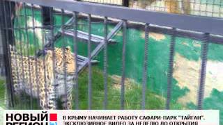 Сафари-парк "Тайган". Пресс-просмотр