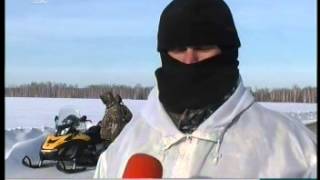 В Красноармейском районе задержана банда браконьеров