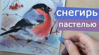 как нарисовать птицу (рисую снегиря)