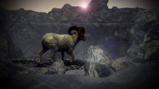 Cabela's Big Game Hunter 2012 - Official Activision Trailer