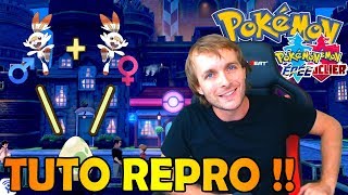 TOUT SUR LA REPRODUCTION DANS POKÉMON ÉPÉE & BOUCLIER !!