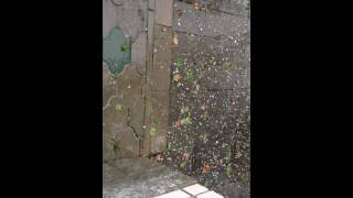 Град в Краснодаре 30.07.2013