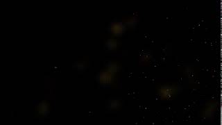 Футаж Красивый Сверчки Свечение Блики для слайд шоу