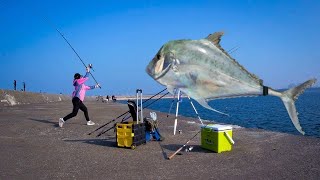 飛魚 Flying fish 釣魚 遠投 台南安平北堤 大物狙擊 馬面瓜 大三角 鳳螺
