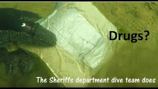 Scuba diving for treasure and Fun near Nimbus Dam on the American River