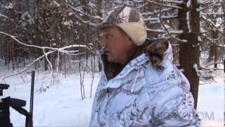 Охота с флажками на волка