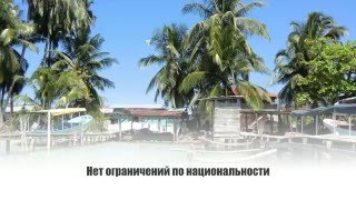 Как зарегистрировать предприятие в Панаме