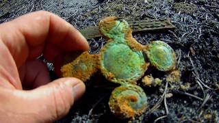 СЕВЕРНЫЙ КОП 8 Minelab CTX 3030