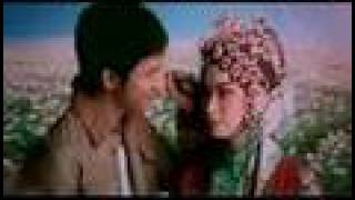 LeeHom - Hua Tian Cuo (English & Pinyin Subtitles)