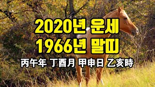 1966년 말띠 2020년 운세