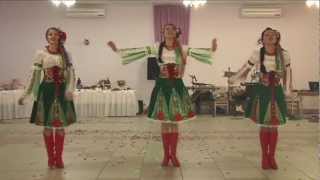 Гурт "Червоні маки". Замовити +38 067 268 50 70
