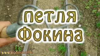 петля Фокина