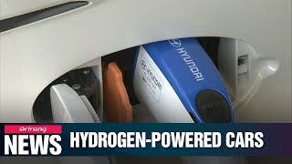 South Korea to supply nearly 6,400 hydrogen cars this year