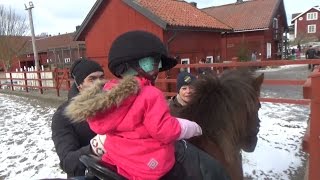 Elin och Emil tar med Alice på ridskola - Unga föräldrar (TV4)