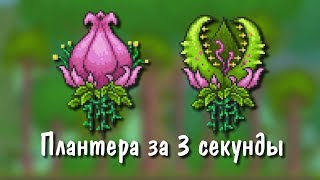 Terraria [Expert] - Как убить Плантеру за 3 секунды?